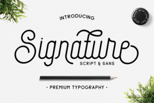 Download Signature - Sign Collection