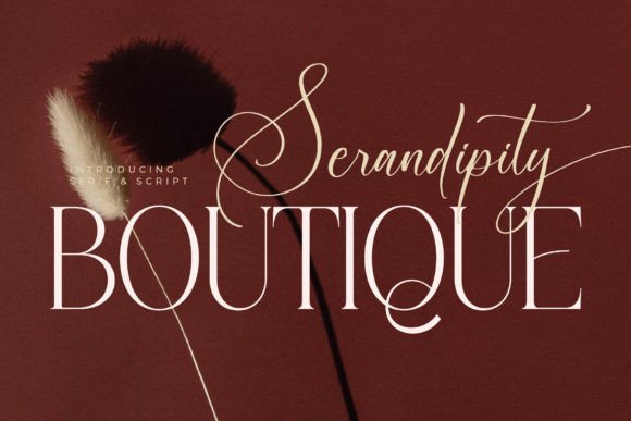 Download Serandipity Boutique - Boutique Collection