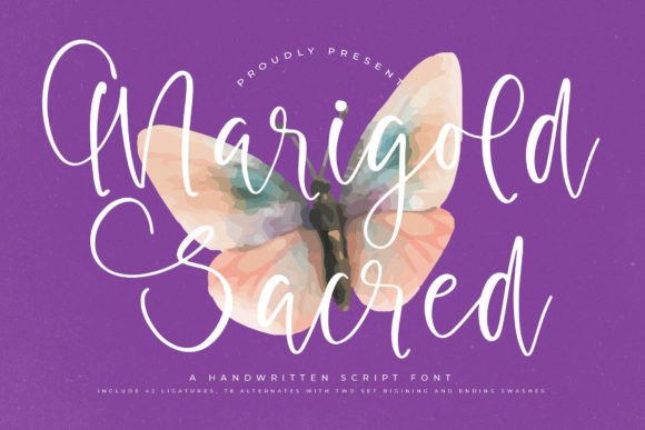 Download Marigold Sacred - Red Collection